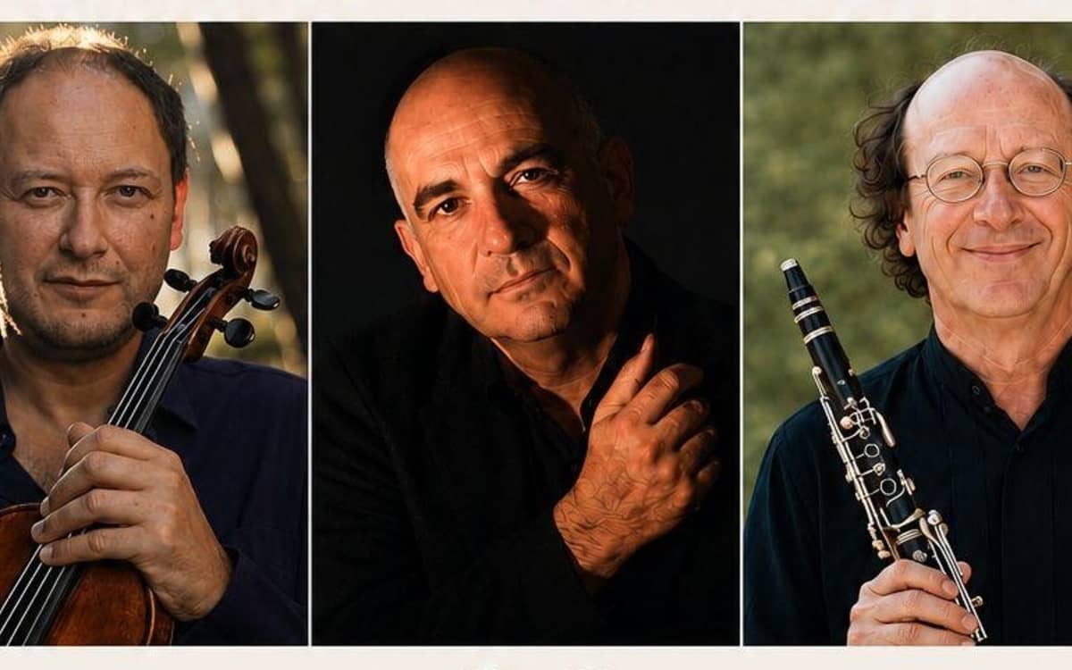 Illustration de l'événement : Grand Concert : Ensemble les Virtuoses