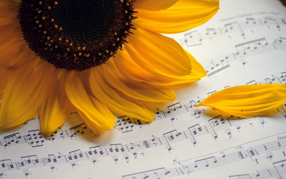 Illustration de l'événement : Vous avez dit musicothérapie ?