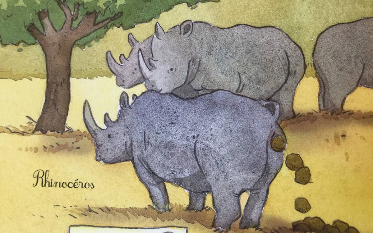 Illustration de l'événement : L'exposition Crottes de bêtes !