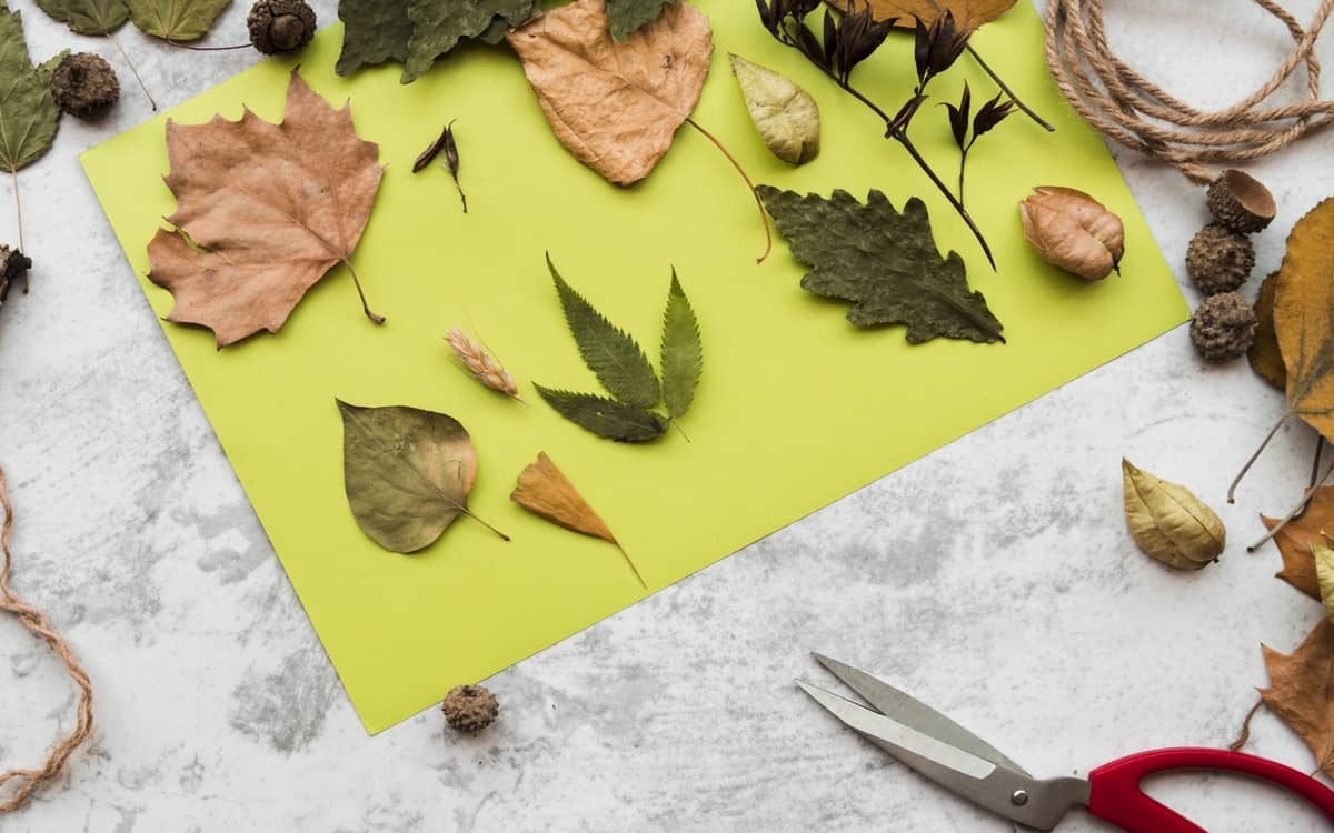 Illustration de l'événement : Ateliers créatifs nature