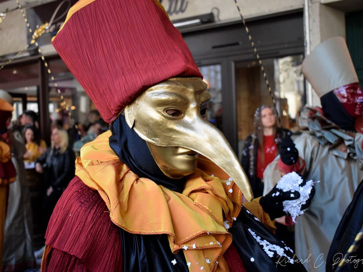 Illustration de l'événement : CARNAVAL DE LIMOUX 2027 - LES JOUVES ET LES LIMOUXINS