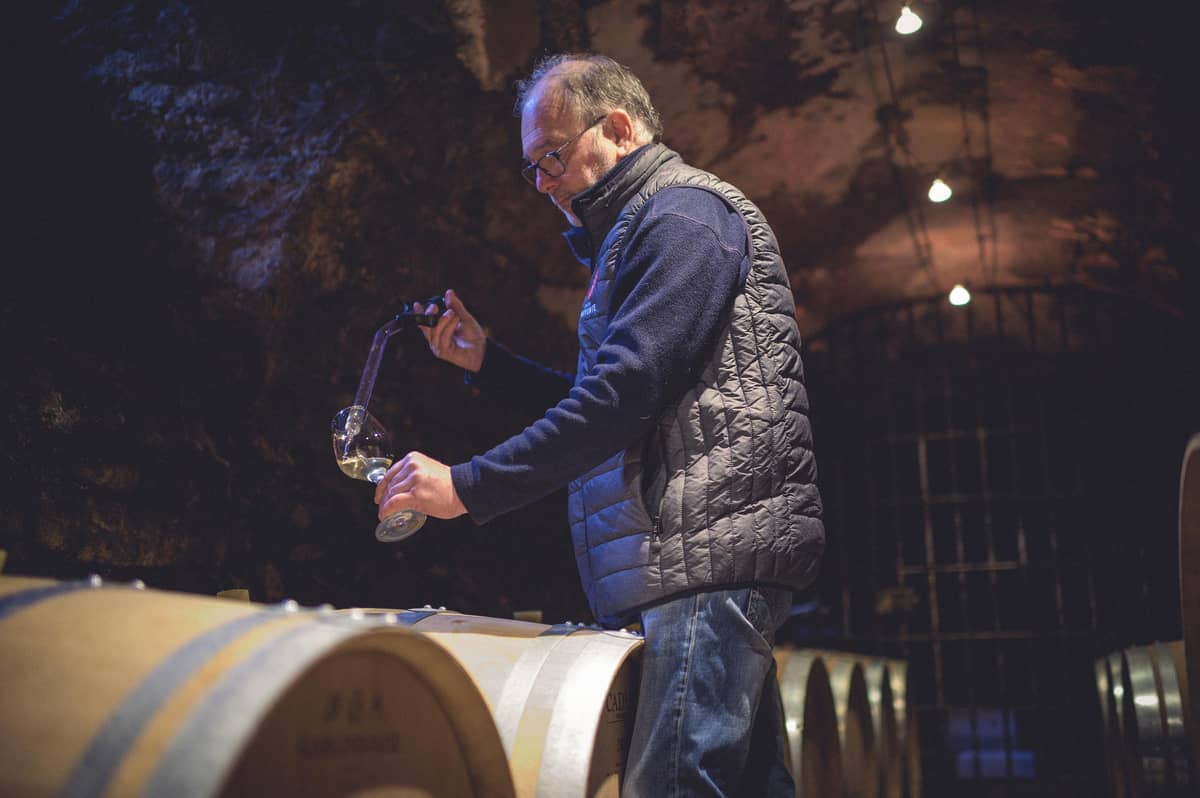 Illustration de l'événement : In Vino au Château Jouvente
