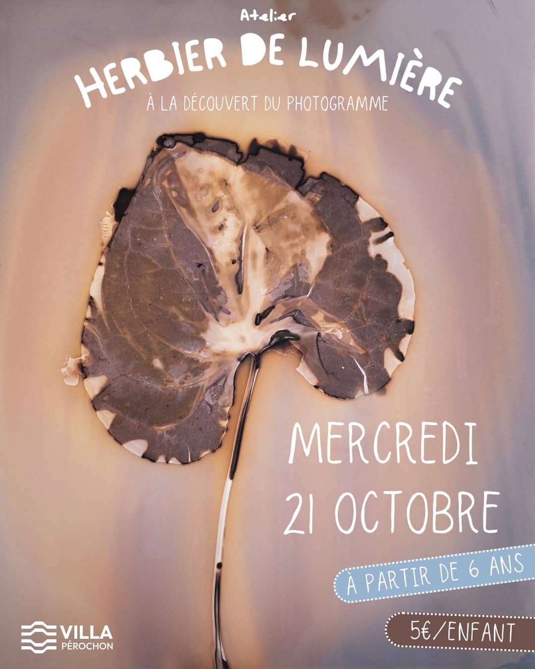 Illustration de l'événement : Herbier de lumière, à la découverte du photogramme - à Niort