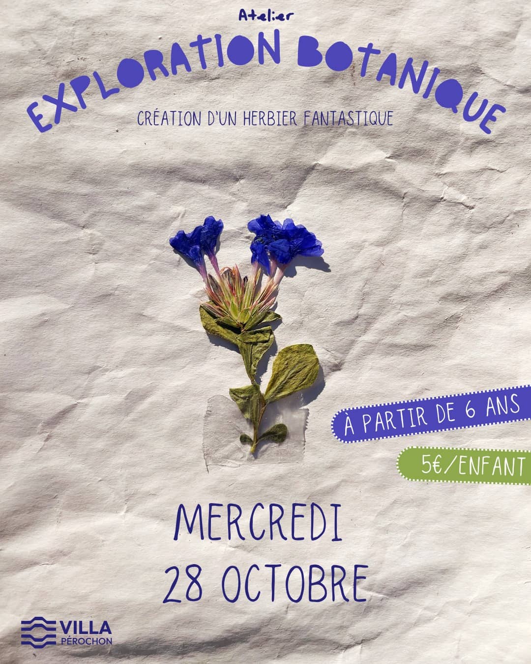 Illustration de l'événement : Exploration botanique, Création d'un herbier fantastique - à Niort