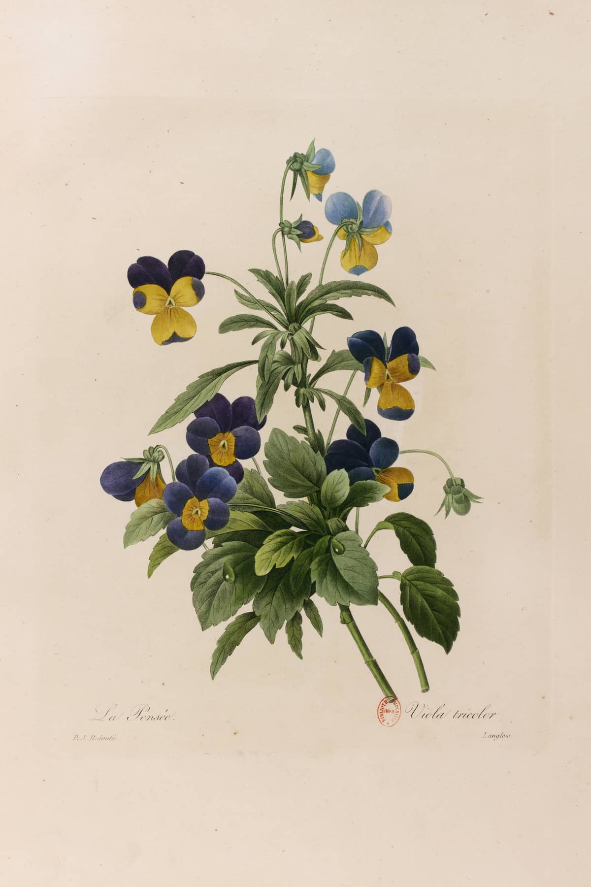 Illustration de l'événement : Exposition : Alors nous irons toruver la couleur ailleurs