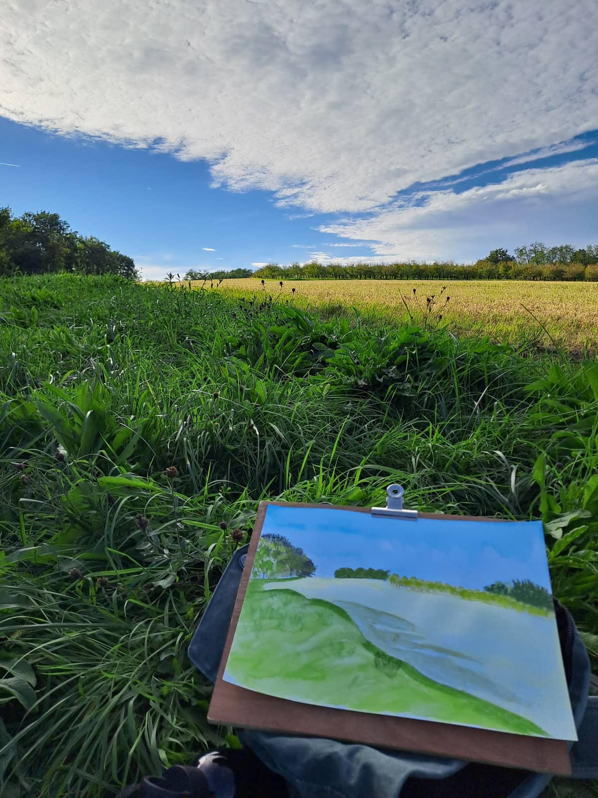 Illustration de l'événement : Atelier aquarelle dans le Pays de Serres