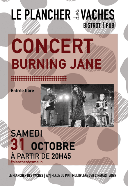 Illustration de l'événement : Concert Avec Burning Jane