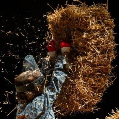 Illustration de l'événement : Spectacle : Le mariage forcé (Molière)