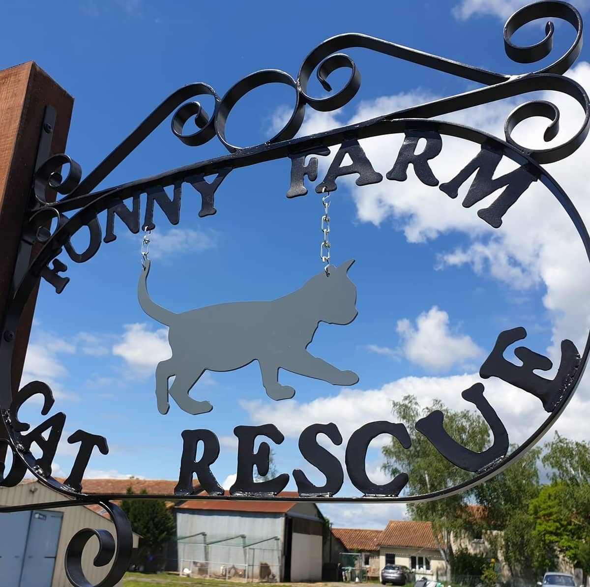 Illustration de l'événement : Soirée Quizz à la Funny Farm Cat Rescue