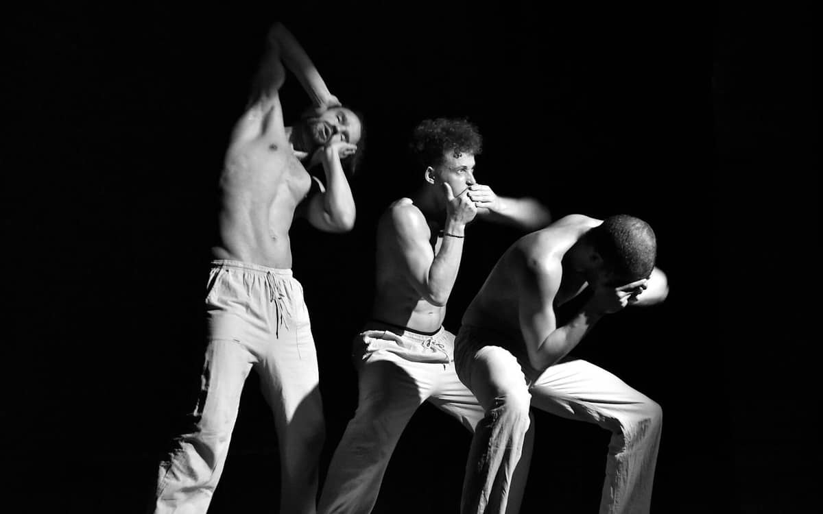 Illustration de l'événement : Spectacle "Les 3 singes"