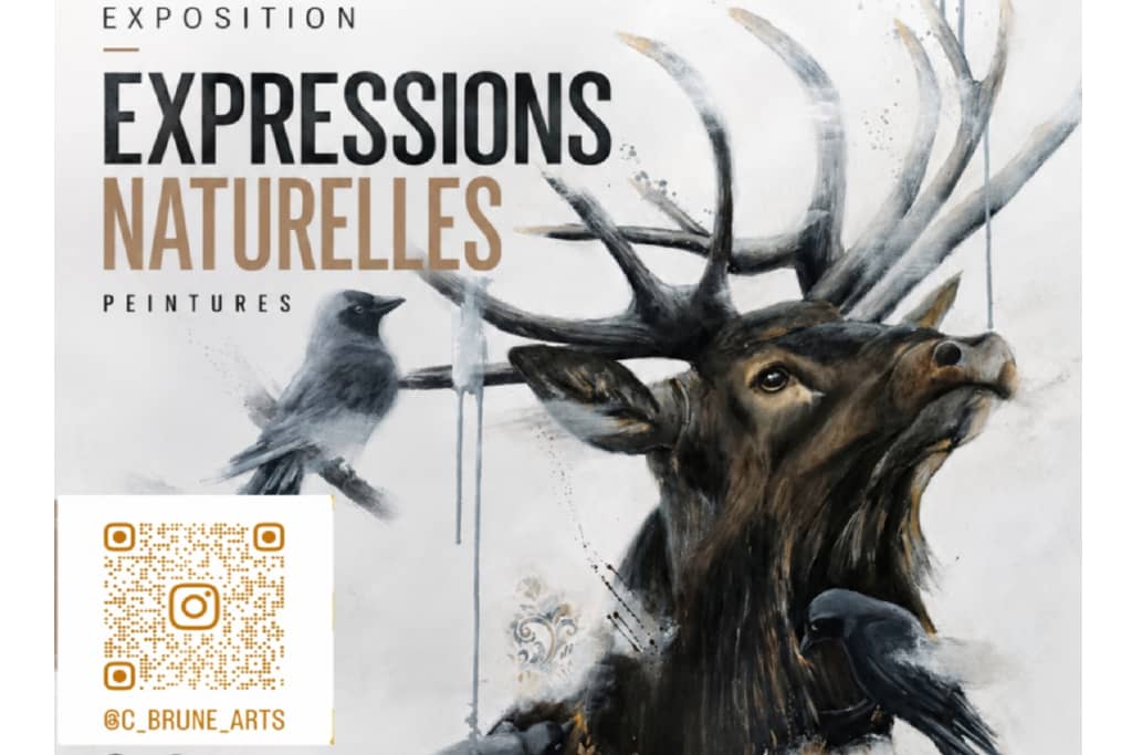 Illustration de l'événement : Exposition "Expression naturelles"