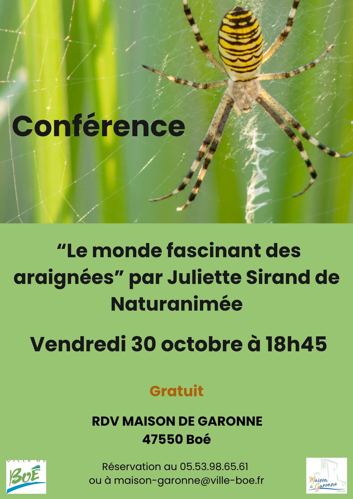 Illustration de l'événement : Conférence « Le monde fascinant des araignées » animée par Juliette Sirand