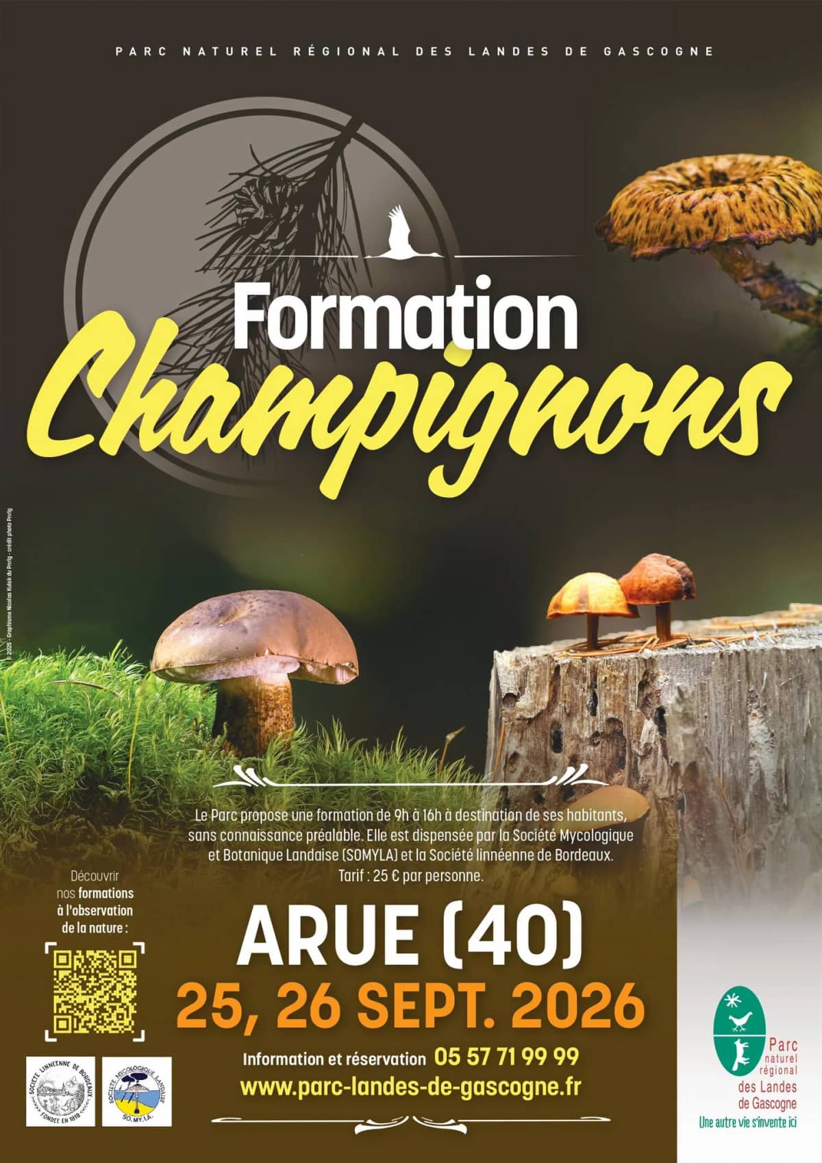 Illustration de l'événement : Formation Champignons