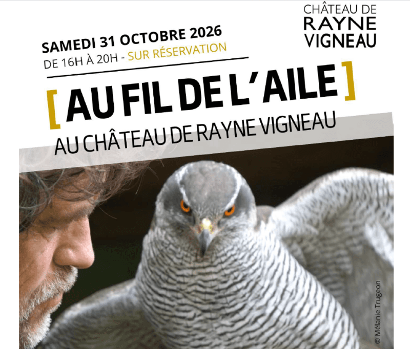 Illustration de l'événement : Au fil de l'aile