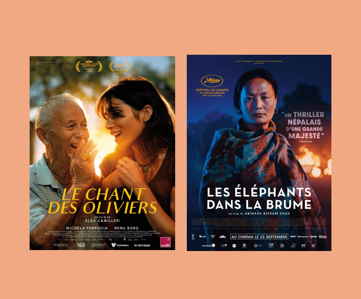 Illustration de l'événement : Soirée Cinéma d'Ailleurs