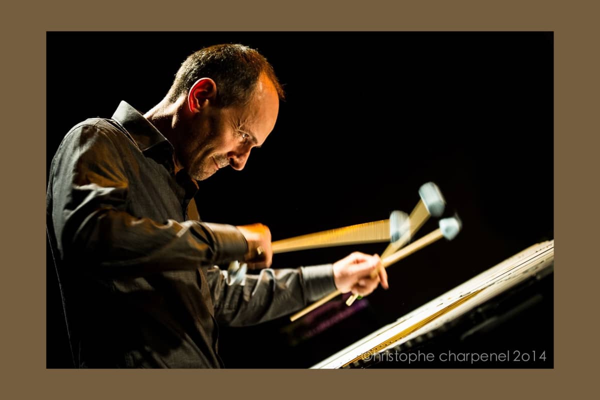 Illustration de l'événement : Jazz Off' | David PATROIS - Average Standards