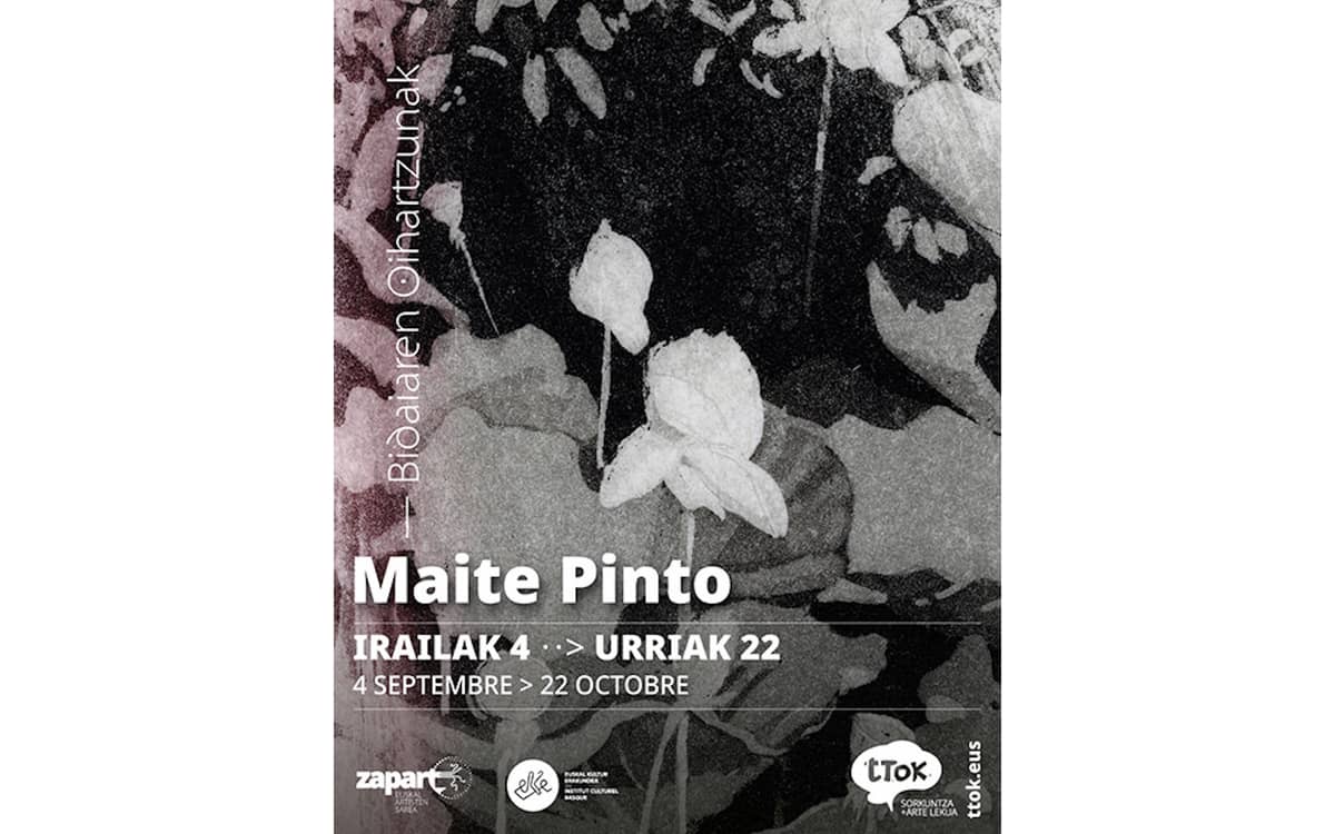 Illustration de l'événement : Exposition de Maïté PINTO "Bidaiaren oihartzunak" - "Echos de voyage"