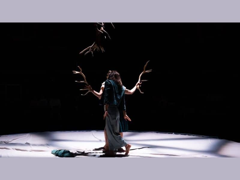 Illustration de l'événement : Faune avec la Cie Libertivore dans le cadre de La Nuit du Cirque