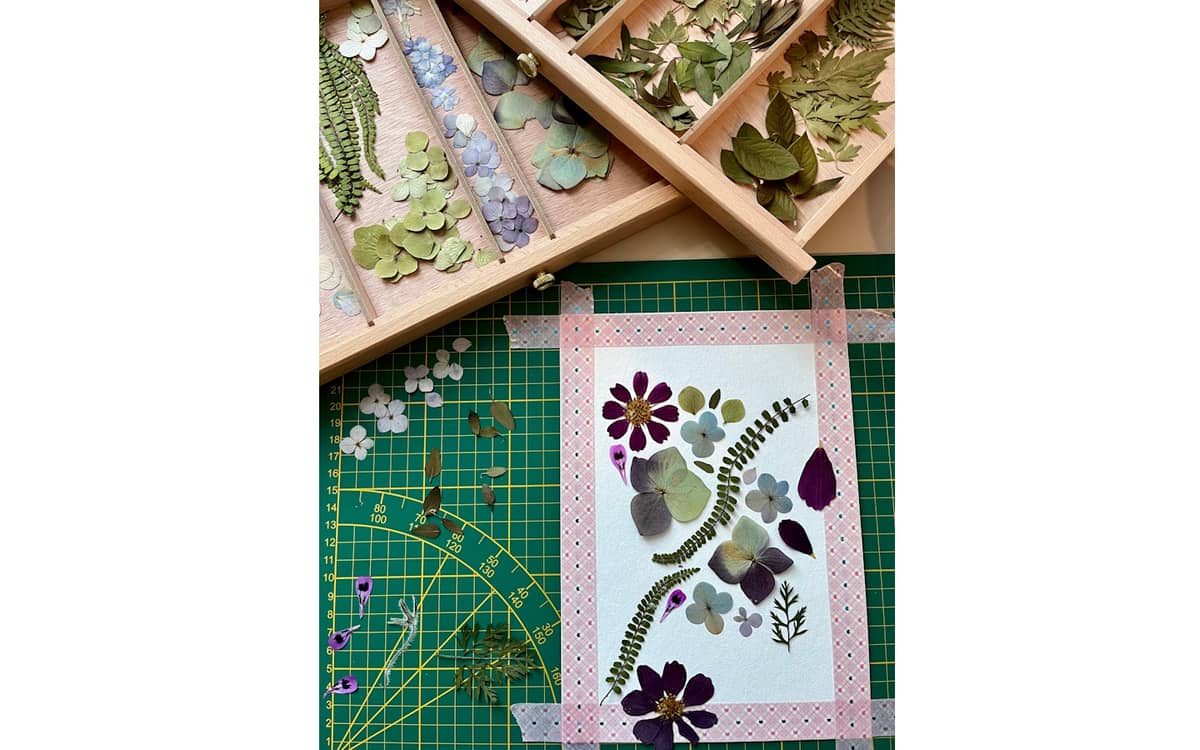 Illustration de l'événement : Ateliers Manufacture Pays Basque - Atelier Herbier