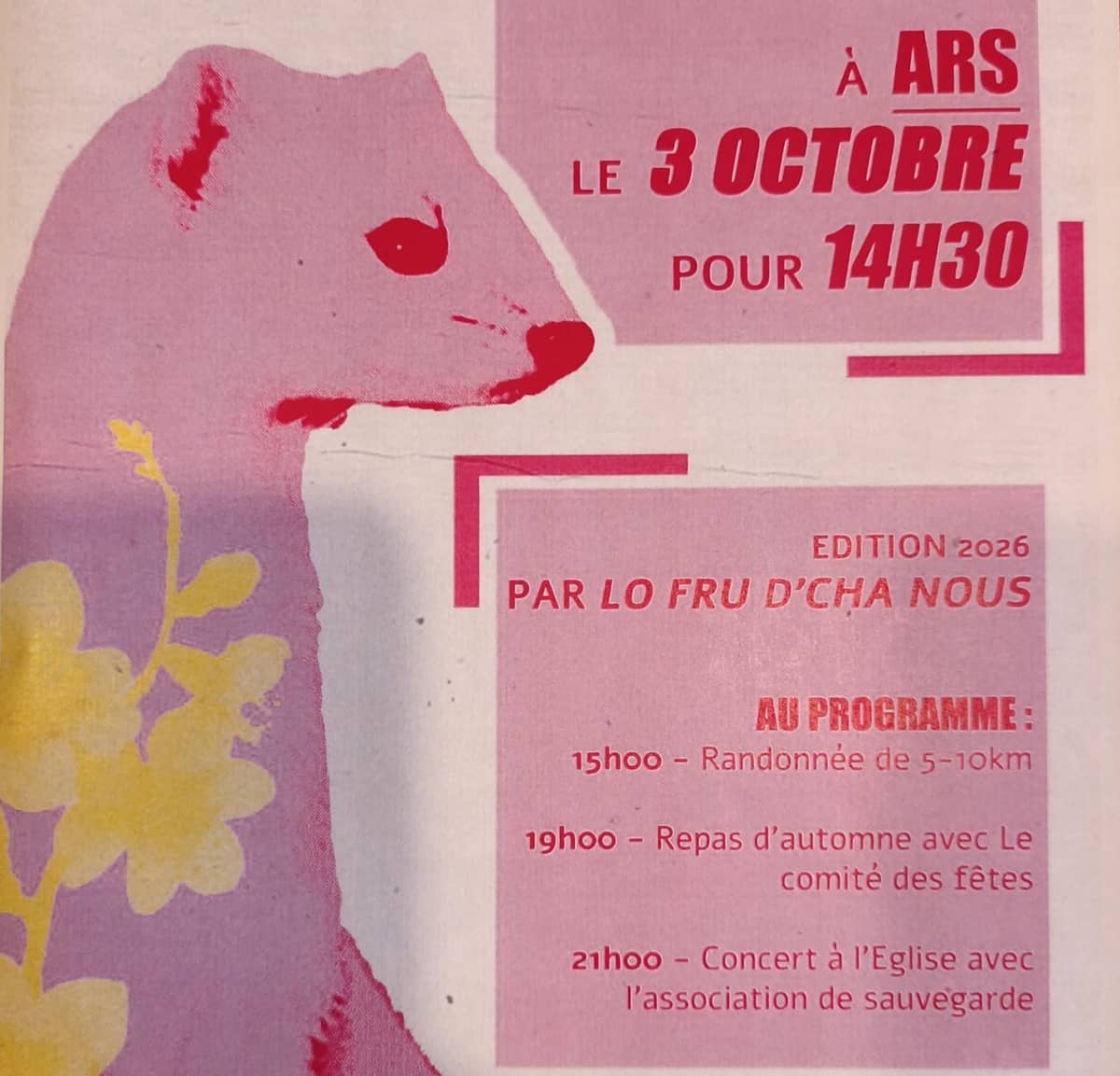 Illustration de l'événement : Randonnée participative