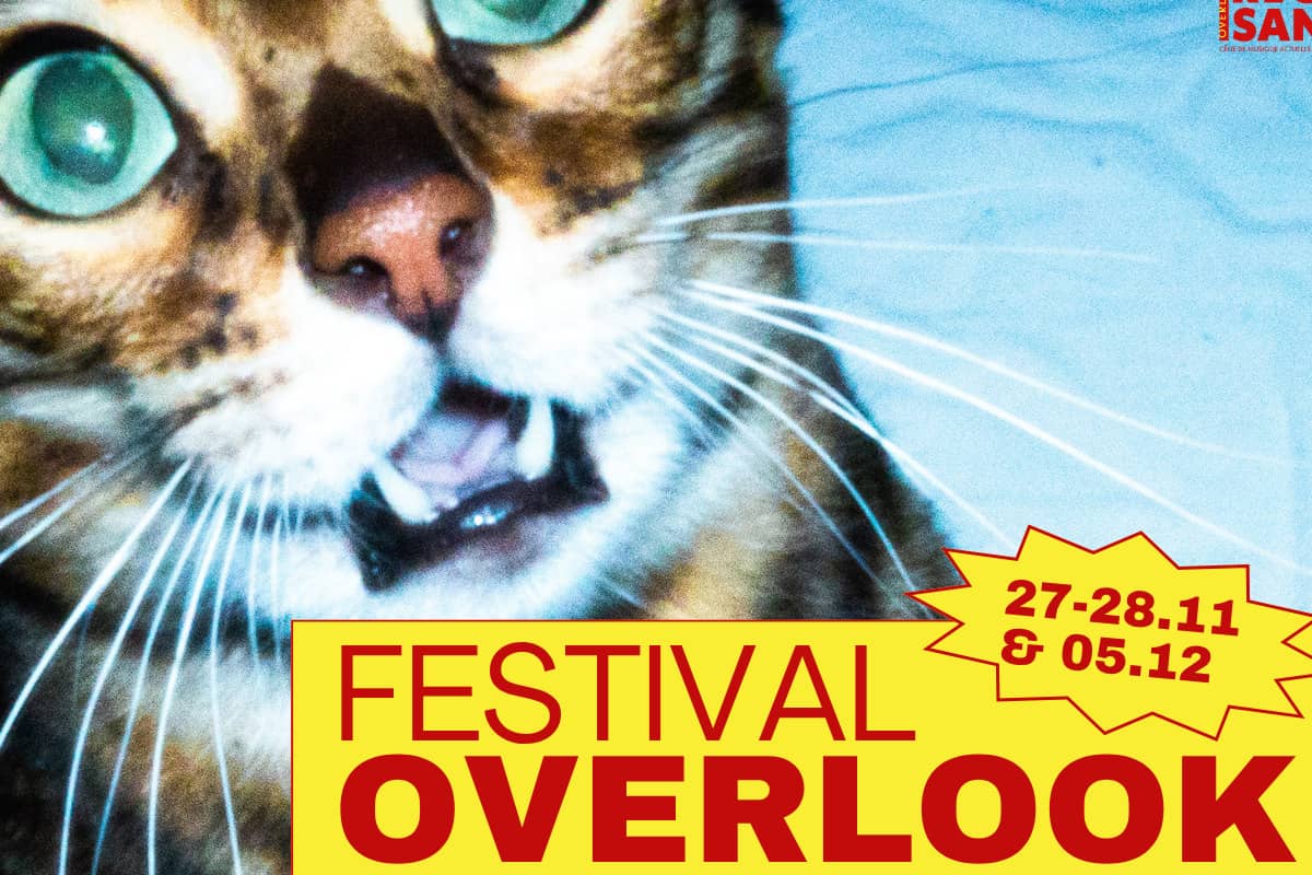 Illustration de l'événement : Rocksane | Festival Overlook