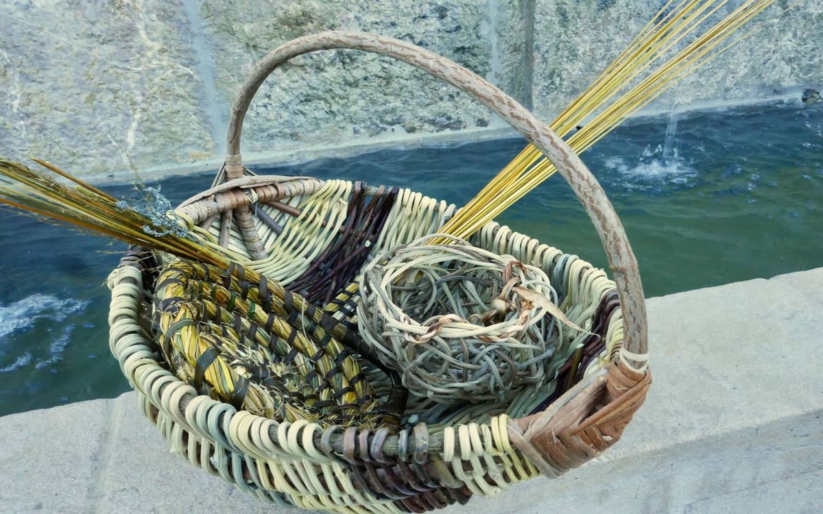 Illustration de l'événement : Stage : la vannerie sauvage