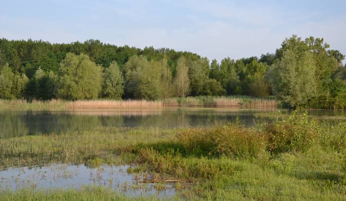 Illustration de l'événement : Visite de la Réserve Naturelle de l'Étang de la Mazière