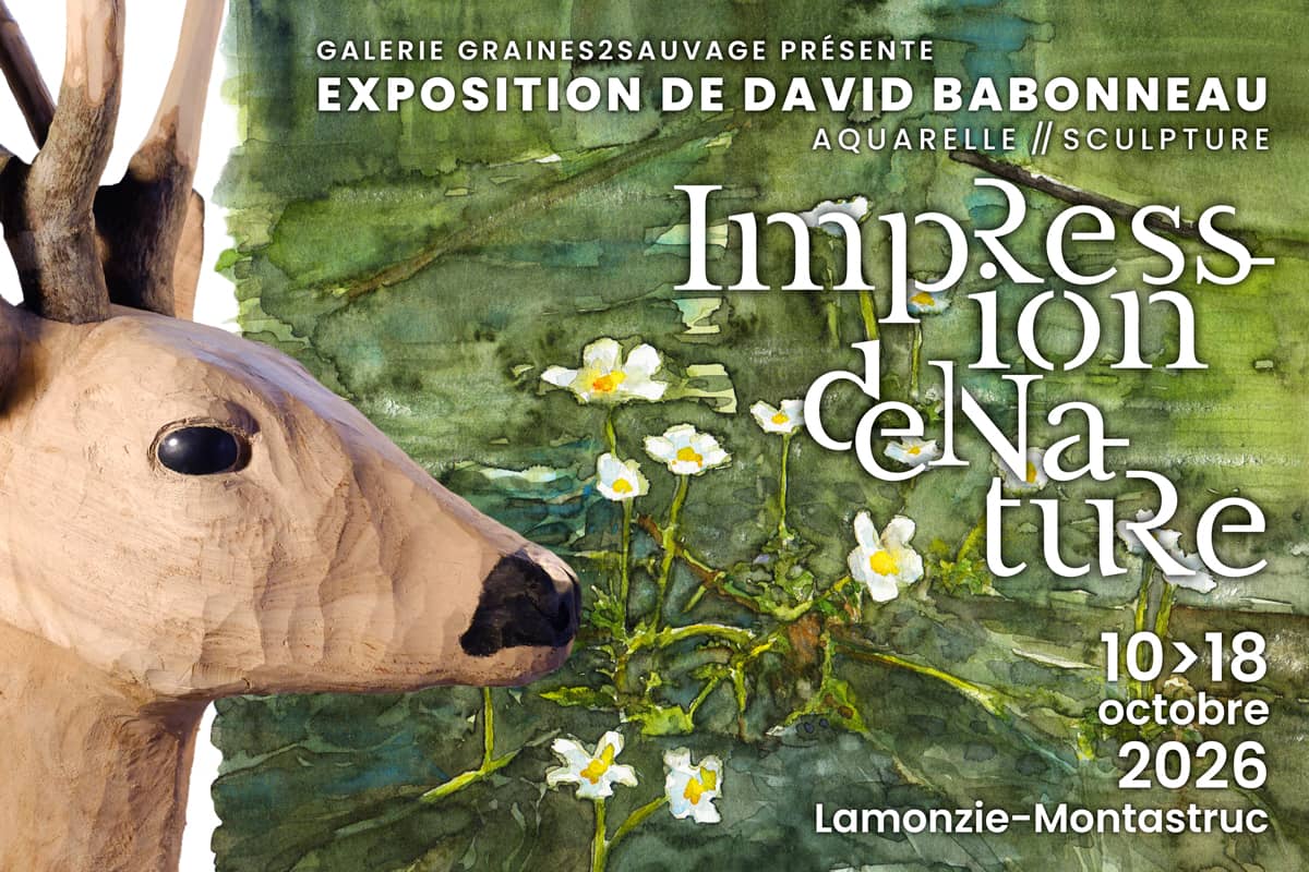 Illustration de l'événement : Exposition d’aquarelles et de sculpture "Impression de nature"