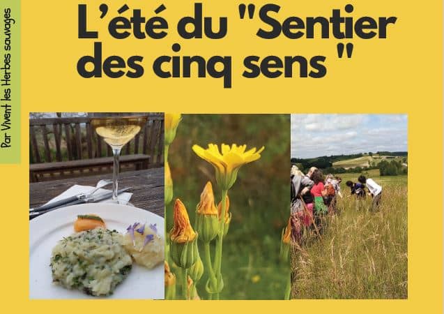 Illustration de l'événement : Le sentier des 5 sens au Domaine Les Hauts de Riquets balade gourmande