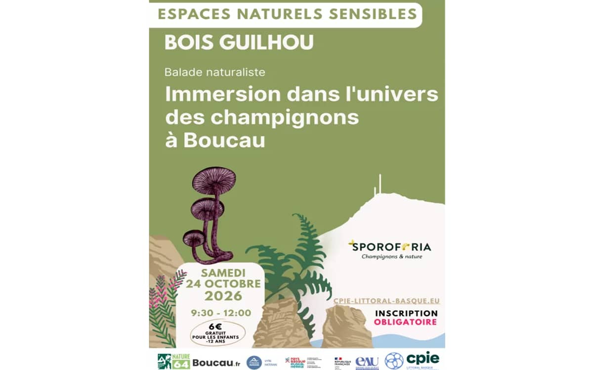 Illustration de l'événement : Balade naturaliste : immersion dans l'univers des champignons