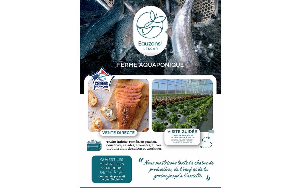 Illustration de l'événement : Visite Ferme Aquaponique