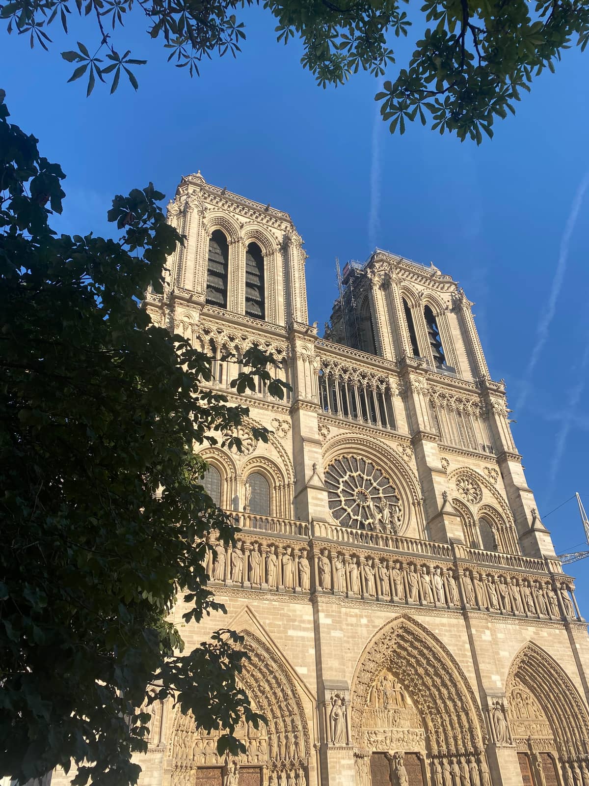Illustration de l'événement : Expo Micro-Folie "Notre Dame de Paris"