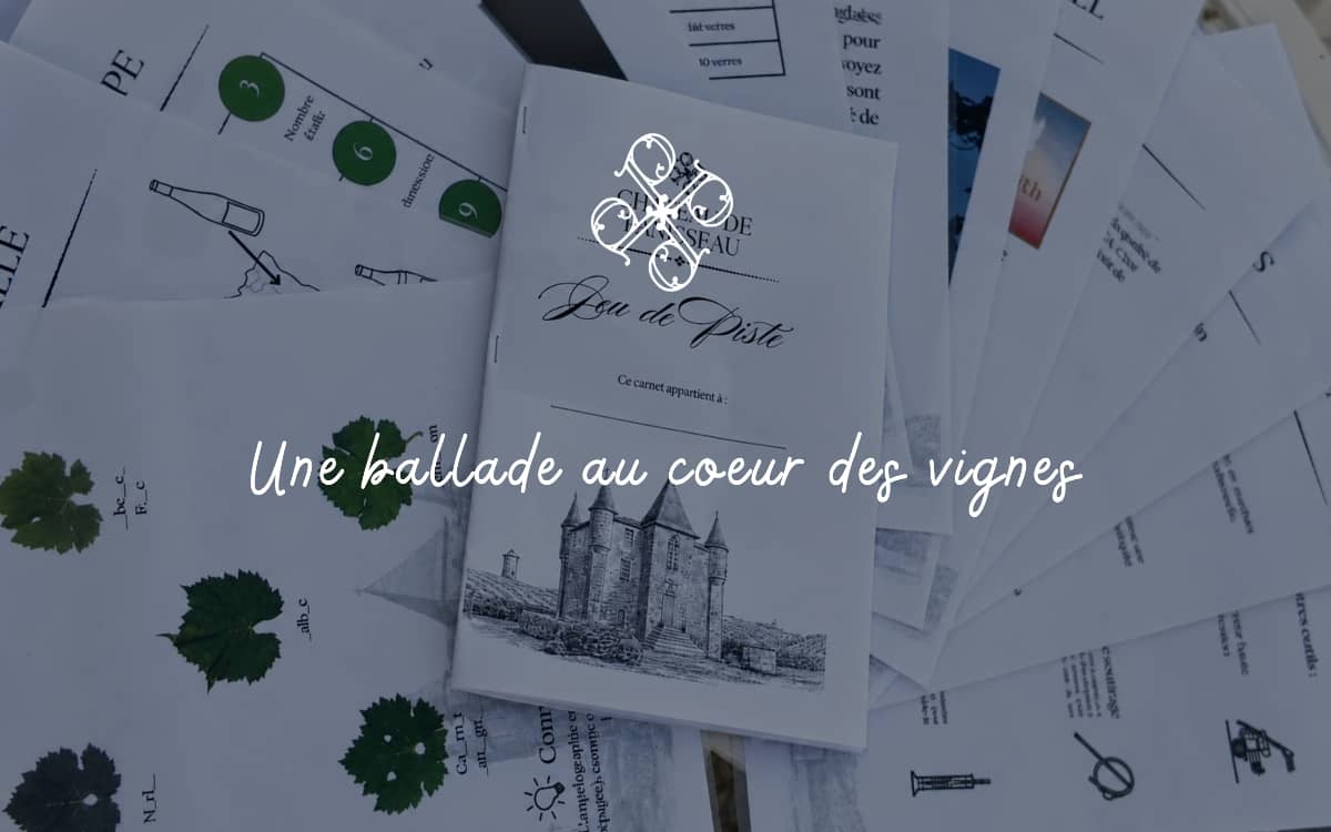 Illustration de l'événement : Jeu de piste | Château de Panisseau