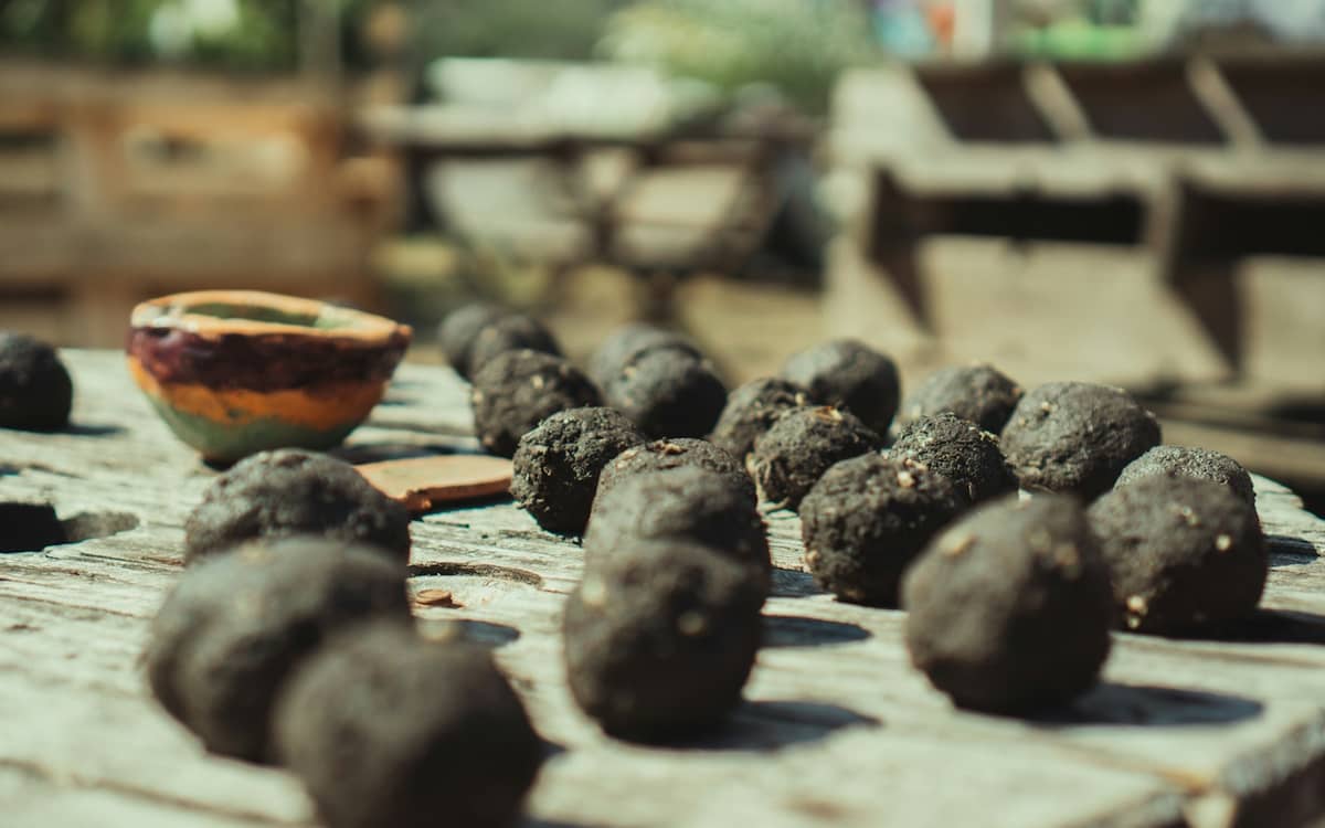 Illustration de l'événement : Fabrication de bombes à graines – Semaine KLIMA