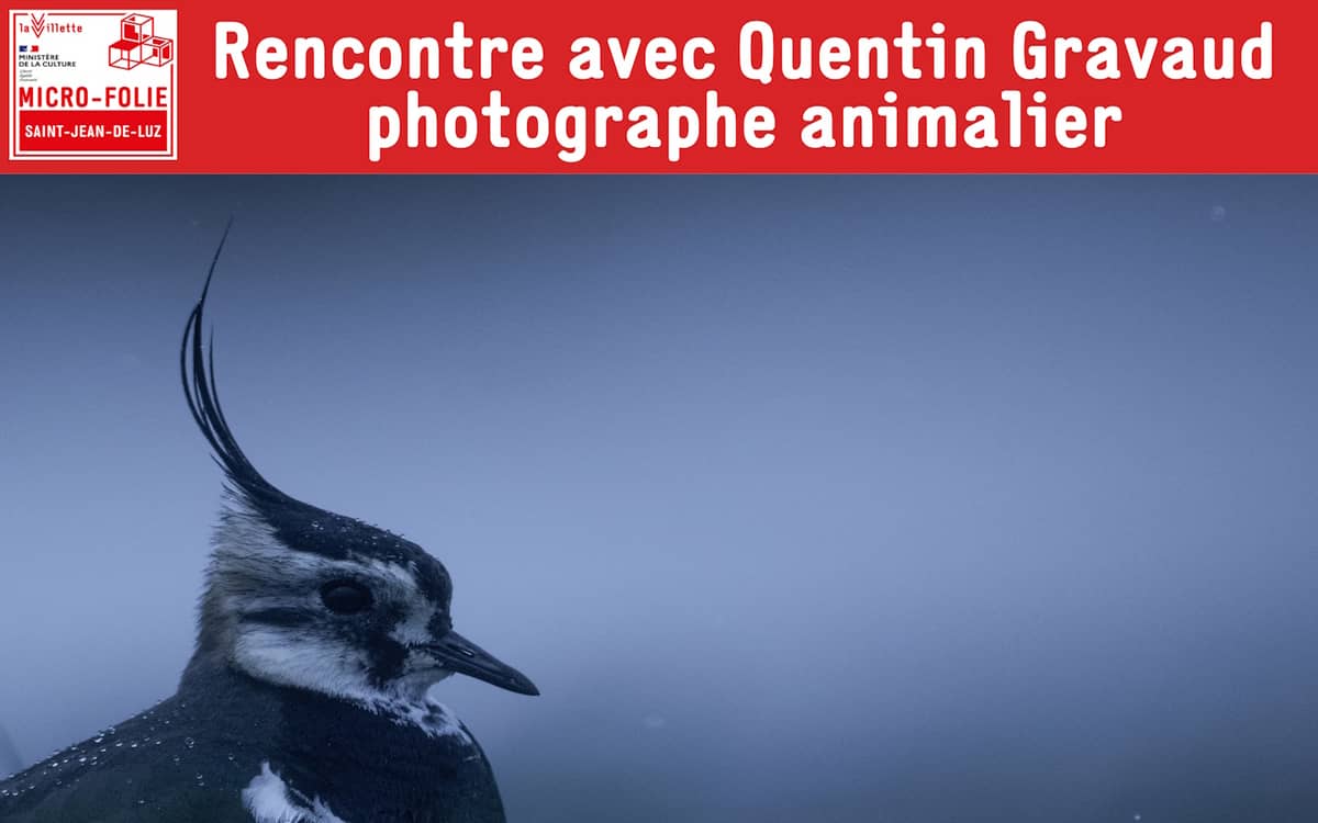 Illustration de l'événement : Micro-Folie : Rencontre avec Quentin Gravaud