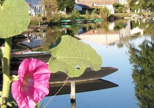 Illustration de l'événement : Stage de pêche des carnassiers aux leurres - à Coulon
