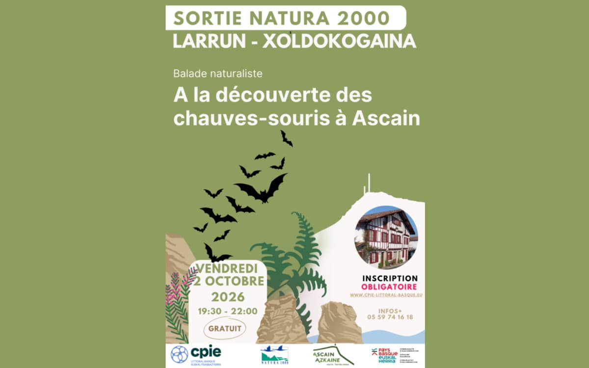 Illustration de l'événement : Balade naturaliste : à la découverte des chauve-souris