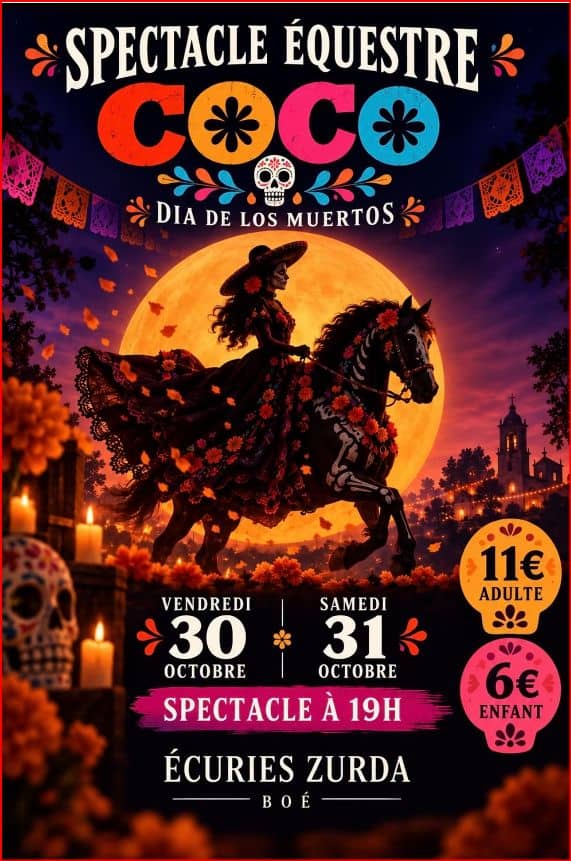 Illustration de l'événement : Spectacle équestre