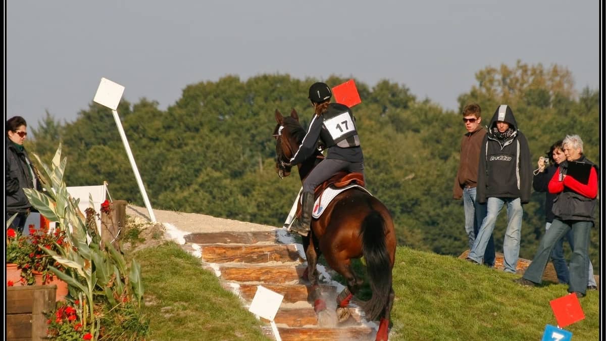 Illustration de l'événement : Championnat de France de Trec Amateur 2026 - Finale de la Coupe de France