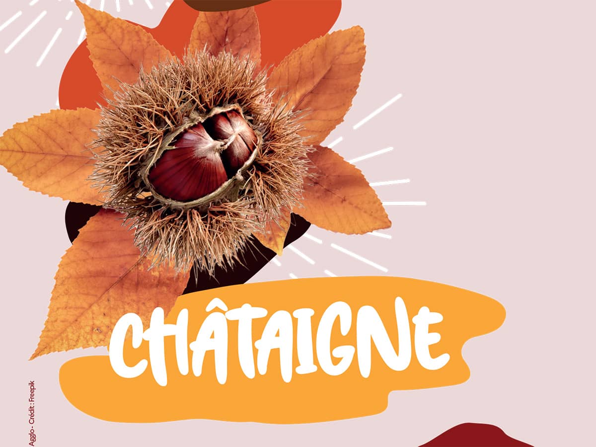 Illustration de l'événement : FOIRE DE LA CHÂTAIGNE