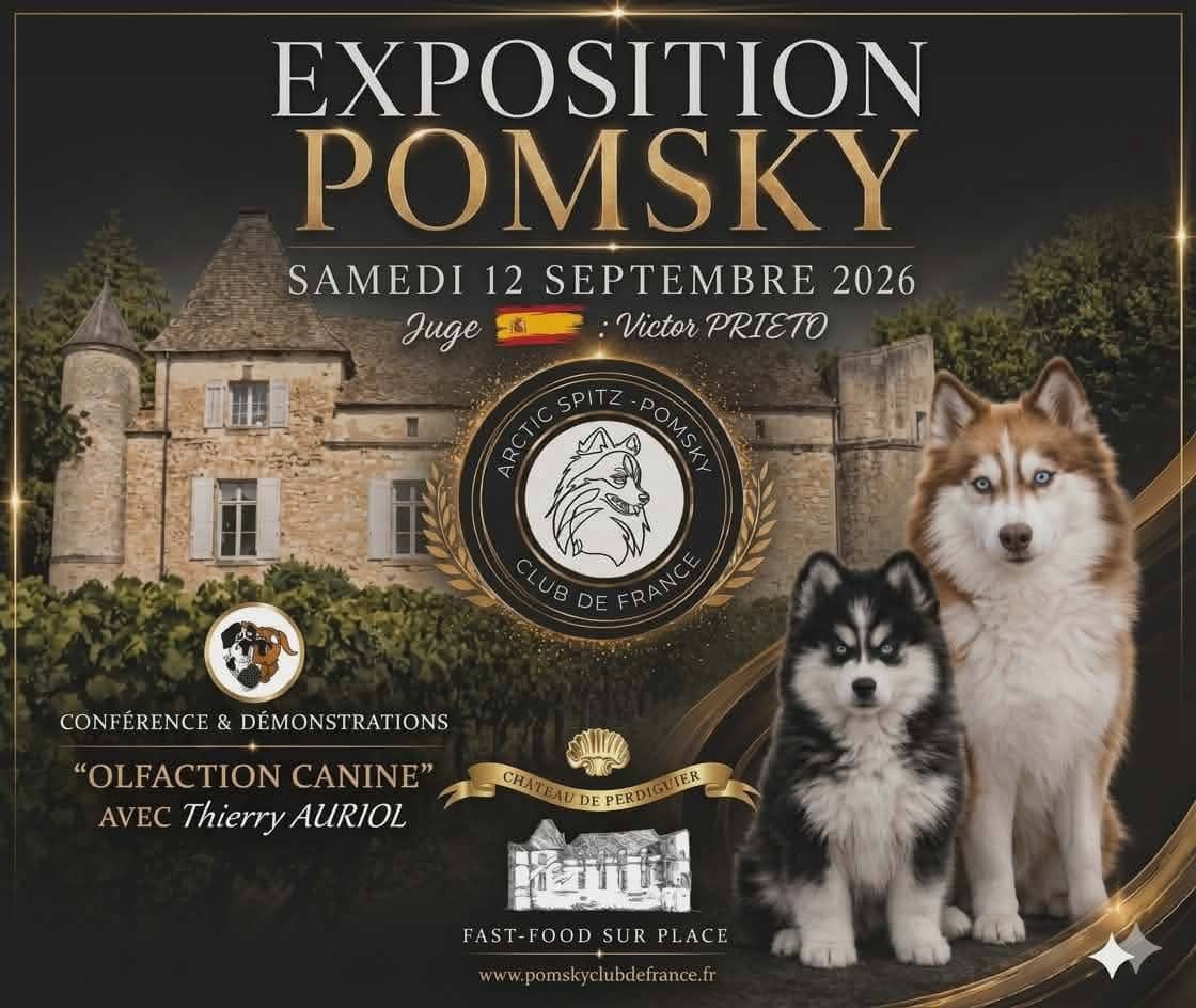 Illustration de l'événement : EXPOSITION CANINE POMSKY