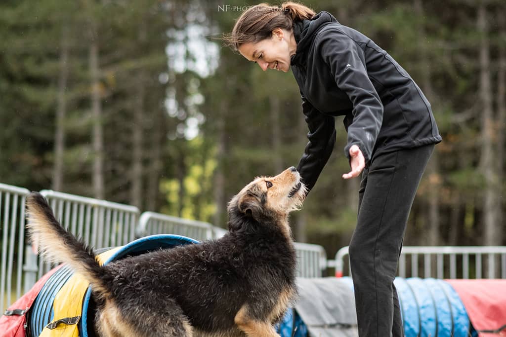 Illustration de l'événement : CANIFUN, LE WEEK-END DU CHIEN - 5ÈME ÉDITION