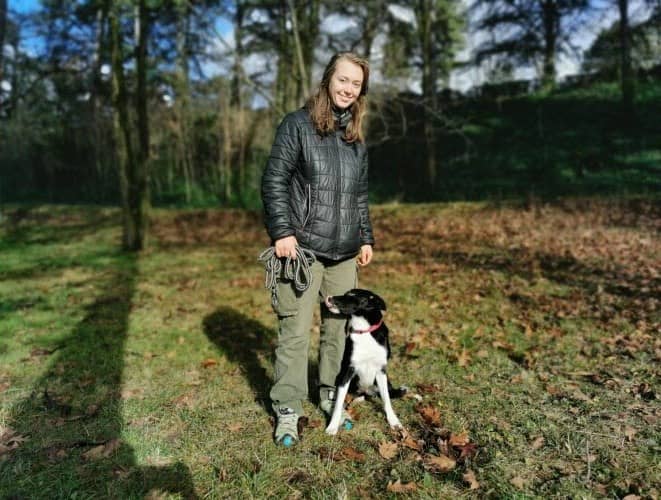 Illustration de l'événement : CONFÉRENCE LES CHIENS DE PROTECTION DES TROUPEAUX