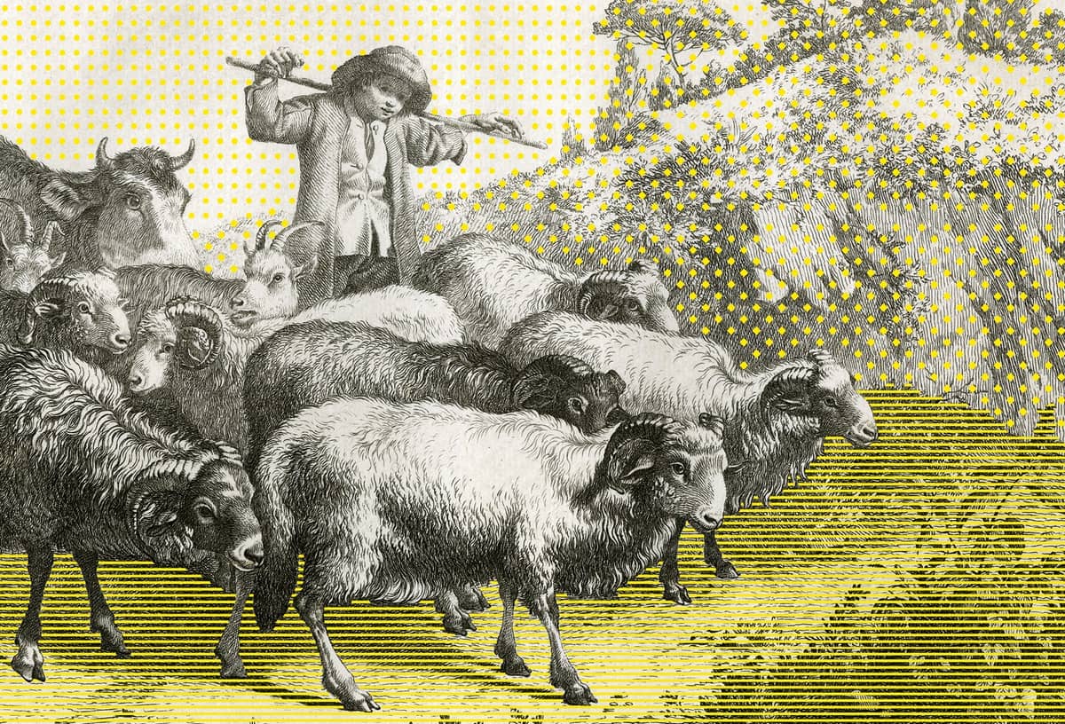 Illustration de l'événement : LES RENDEZ-VOUS DU PAYS D'ART ET D'HISTOIRE
