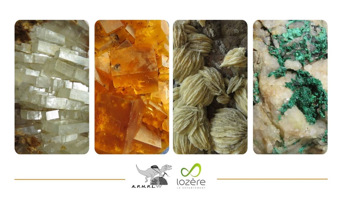 Illustration de l'événement : ROCHES, FOSSILES ET MINERAUX DE LOZERE