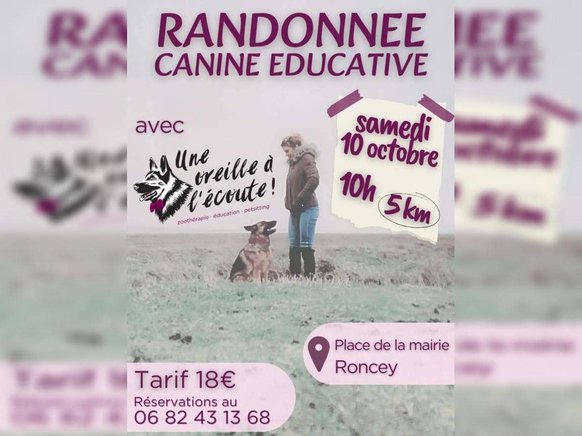 Illustration de l'événement : Randonnée canine éducative