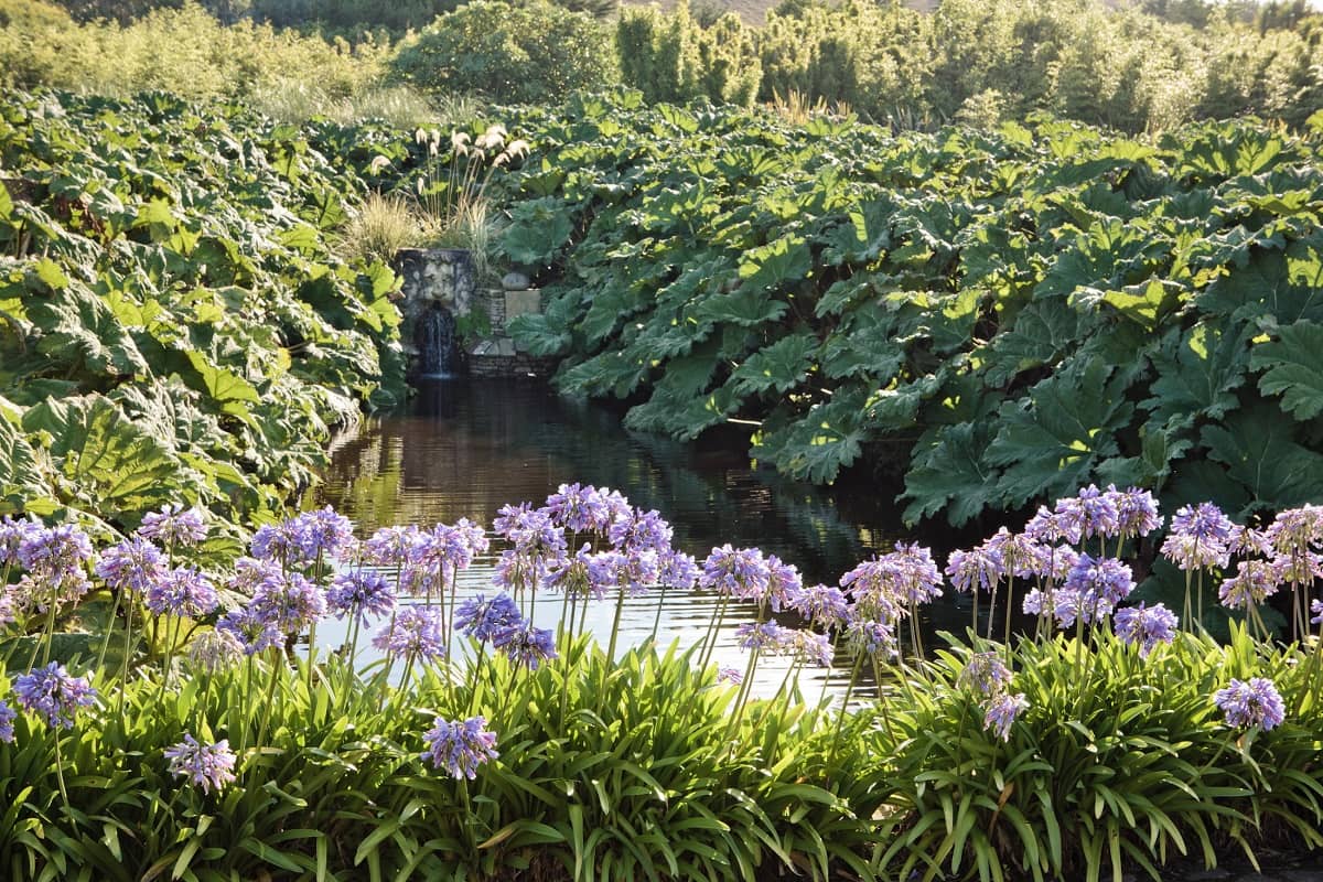 Illustration de l'événement : Visite libre du jardin botanique de Vauville