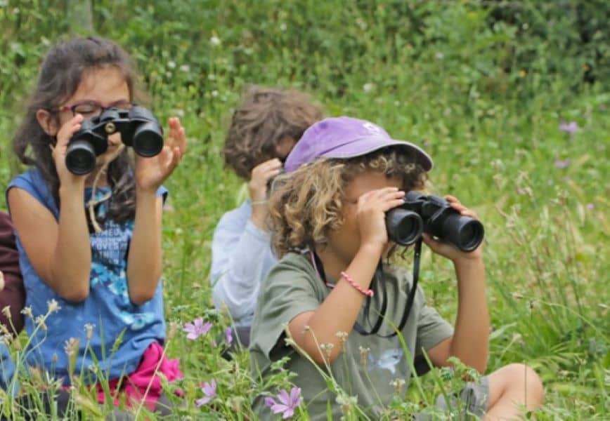 Illustration de l'événement : Atelier nature : à la découverte des oiseaux (6-12 ans)