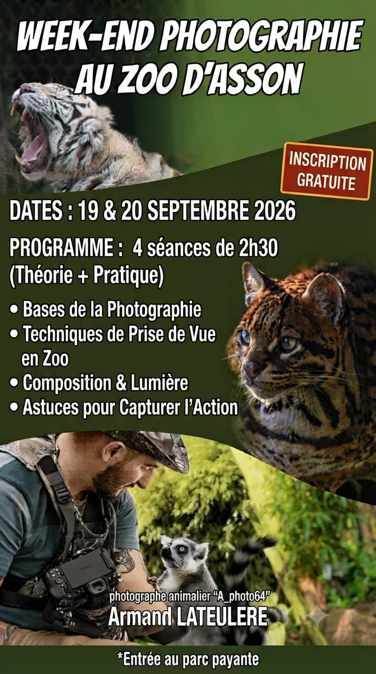 Illustration de l'événement : Cours gratuit de photographie animalière