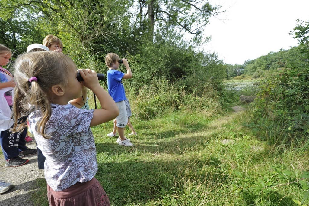 Illustration de l'événement : Détectives naturalistes en herbe
